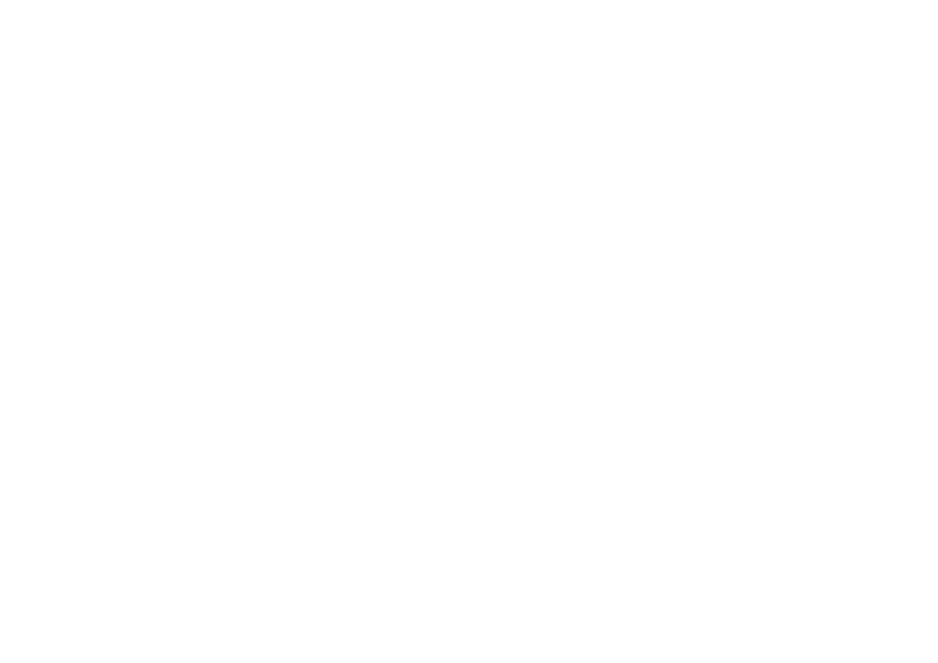 Solidus Vox